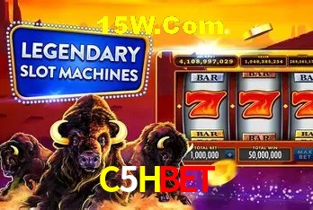 Security Systems C5Hbet